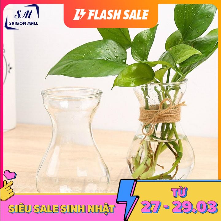 [HCM]COMBO 2 bình trồng cây thủy canh  miệng loe - 2 Bình Tiên Ông + Tặng kèm dây sơ dừa trang trí