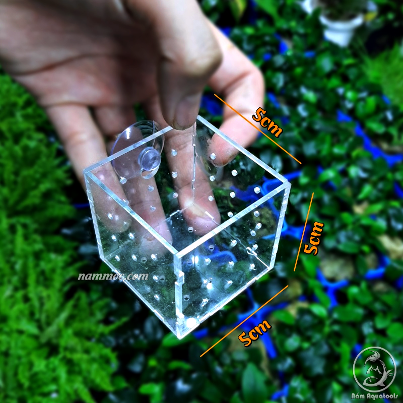[Mã 267FMCGSALE giảm 8% đơn 500K] Cốc Trồng Cây Acrylic | Box Đa Năng Ươm ☘ Trồng Cây Thuỷ Sinh