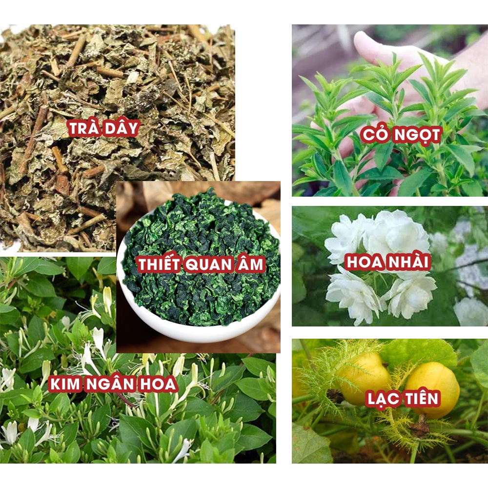 (2túi 500g TẶNG 1 TÚI 200G) TRÀ THẢO MỘC KINGTEA 500G