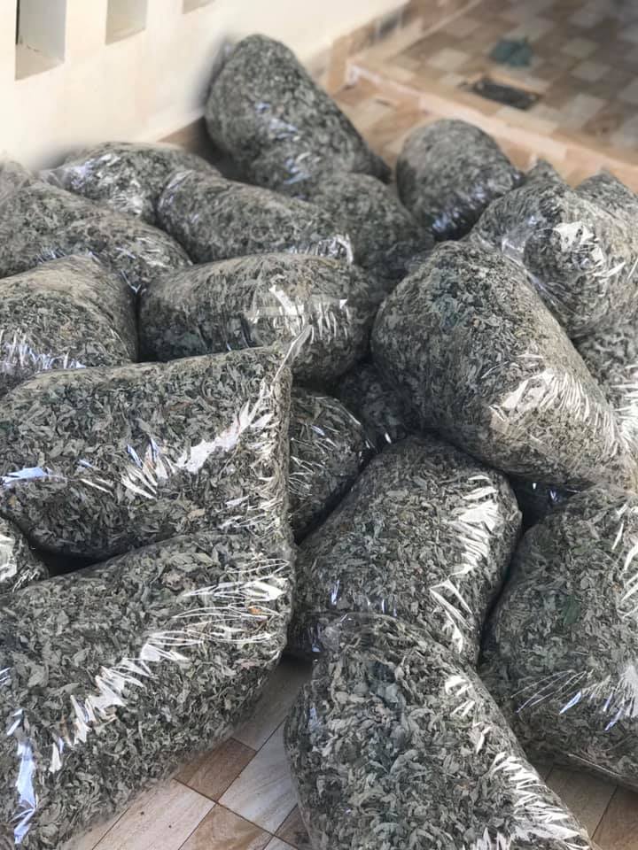 Dried Artichoke Leaves 1kg