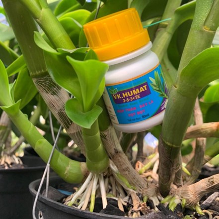 PHÂN MẬP CÂY VK HUMAT 50ML – MẬP THÂN – DÀY LÁ – VỌT ĐỌT