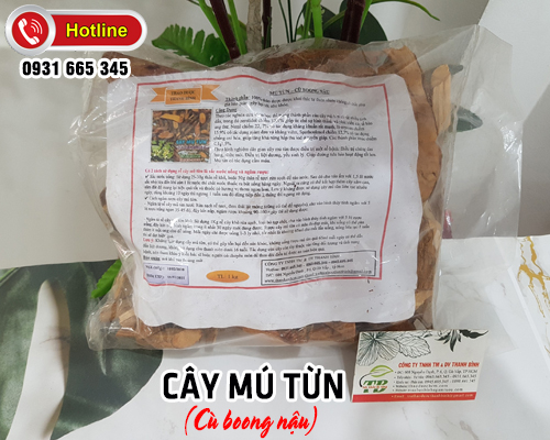 Cây Mú Từn Cù Boong Nậu 1KG Khô Loại 1 - Dược Phẩm Thanh Bình