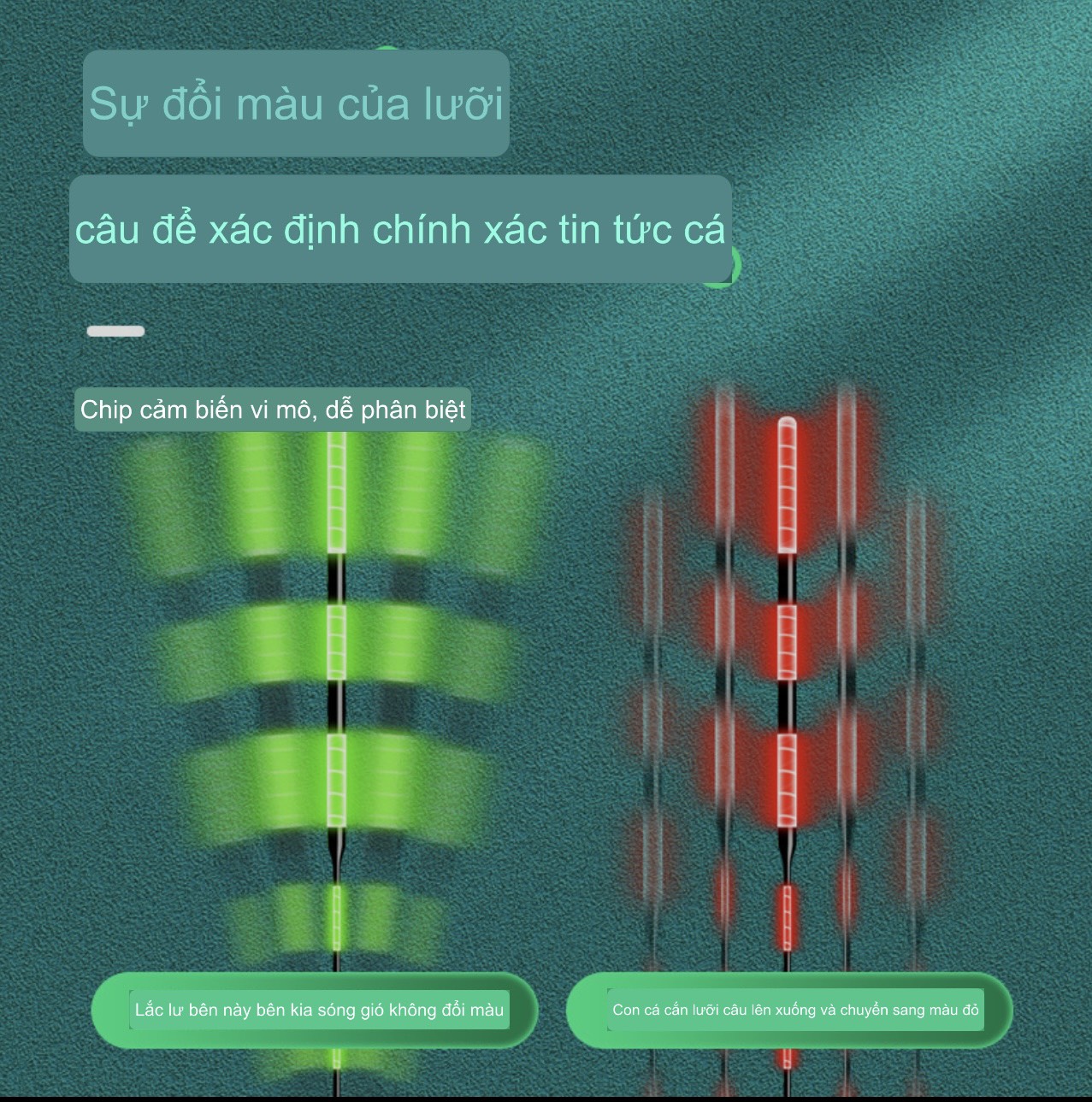 phao đổi màu câu đài