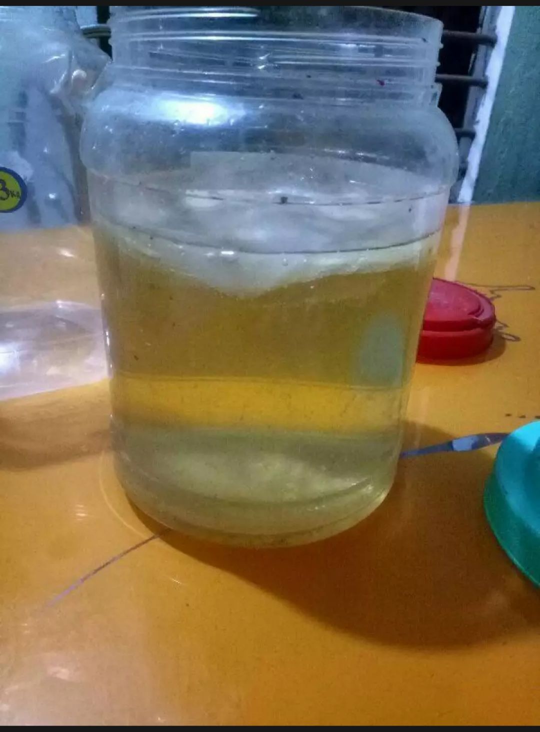 giấm nuôi(con giấm) nhà làm (giấm ăn)1 keo 500ml