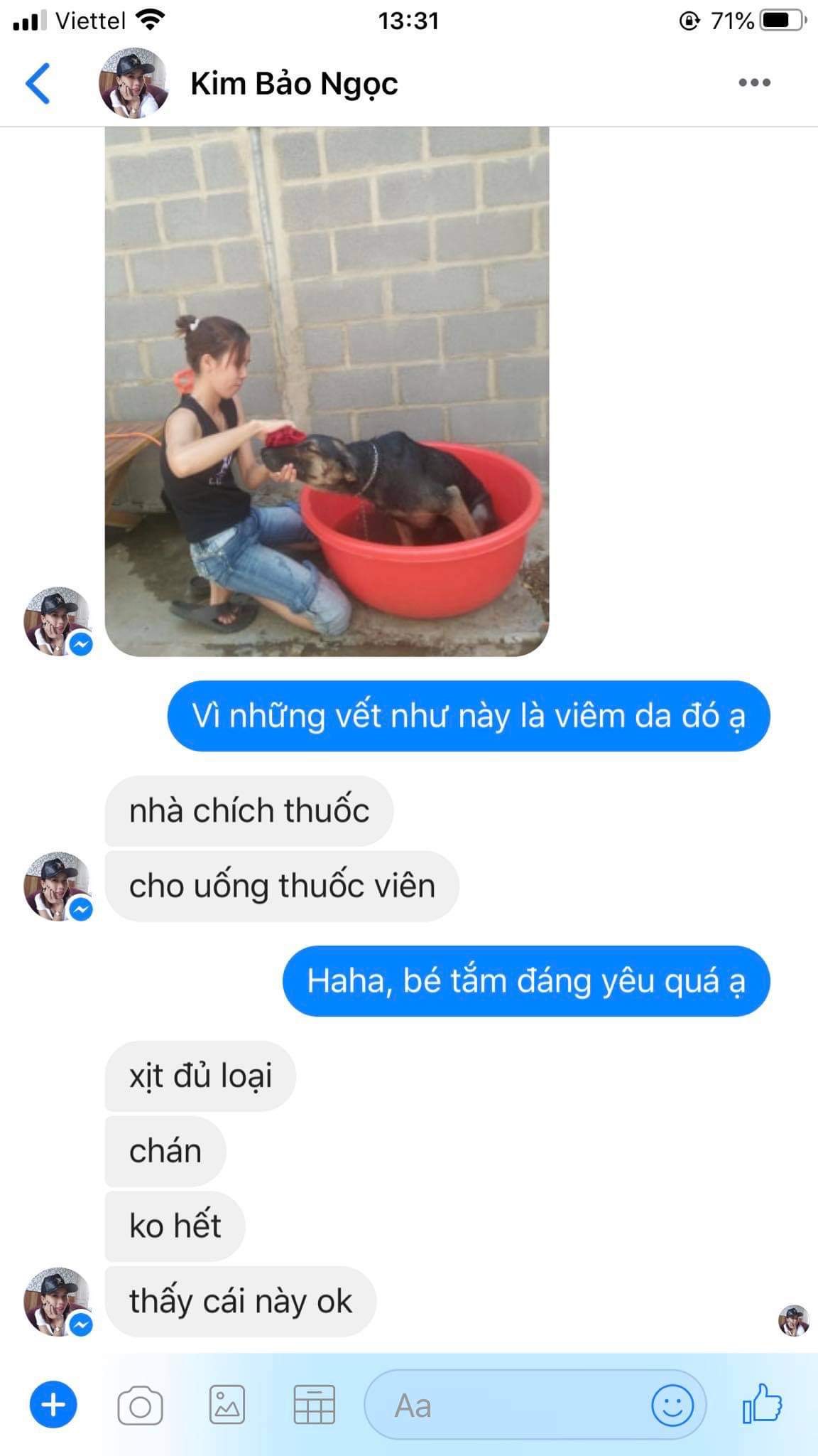 Gói tắm thảo dược thú cưng