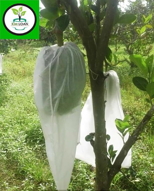 Combo 10 túi bao trái chuyên dùng bao mít nhỏ 40x50cm [NHẬN BÁN SỈ, GIAO TOÀN QUỐC]