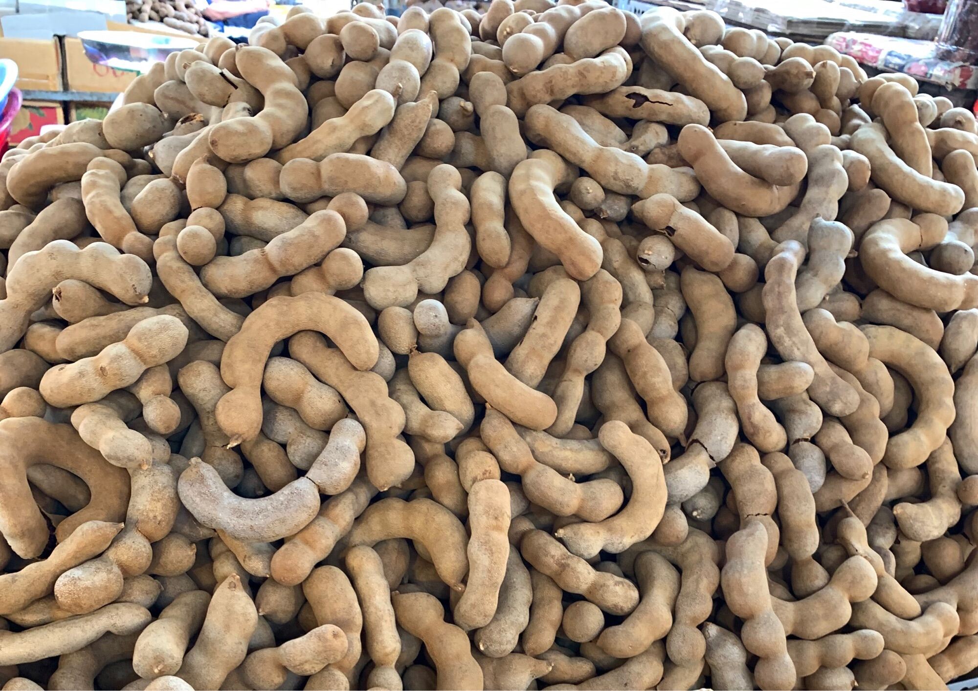 1kg Trái Me Thái Ngọt Loại 1 ( Quả To Như Hình )