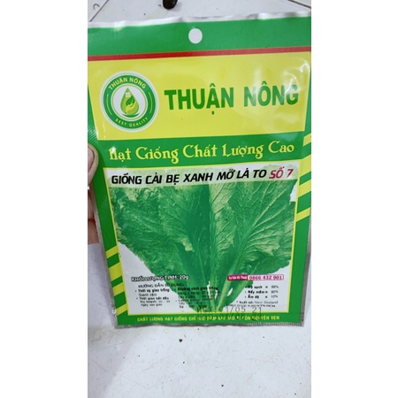 Hạt giống cải bẹ xanh mỡ lá to