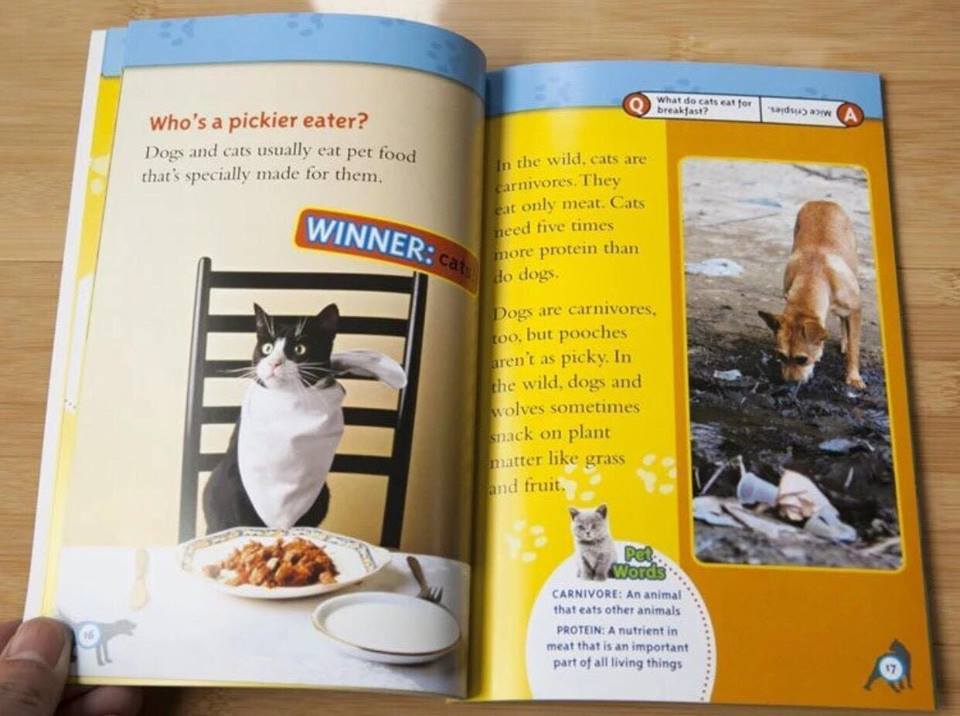 Bộ nhập - National Geographic Kids - Level 3 (38 quyển)