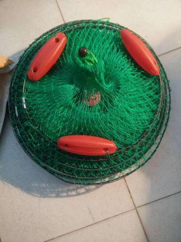 rọng túi lưới đựng cá