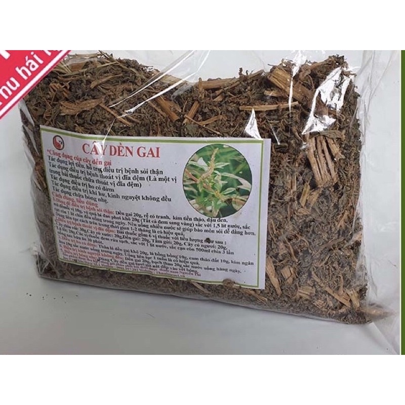 500GR Cây Dền Gai khô( hàng chuẩn xịn)