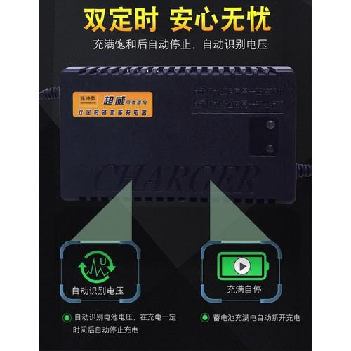 Sạc xe đạp điện 48V 20Ah - 20Ah