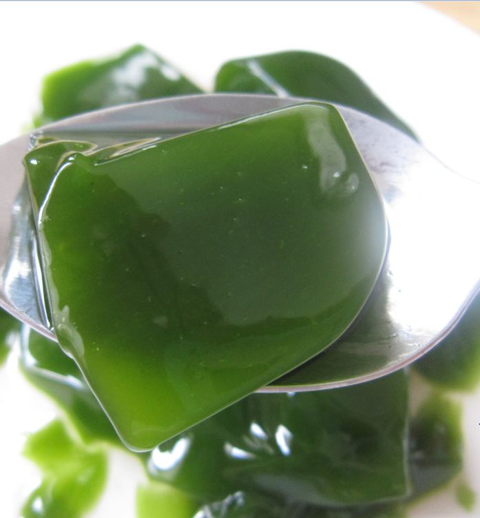"Gói 30 Hạt " Hạt Giống Sương Sâm Lông
