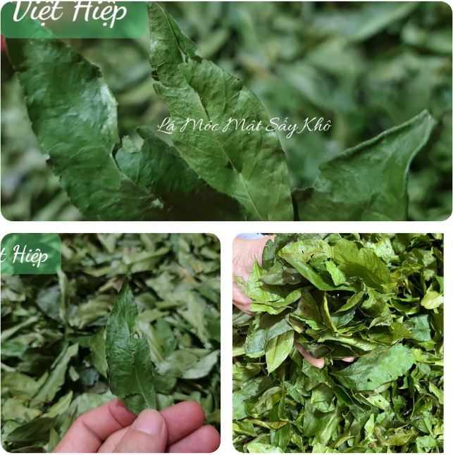 Lá Mắc Mật Khô