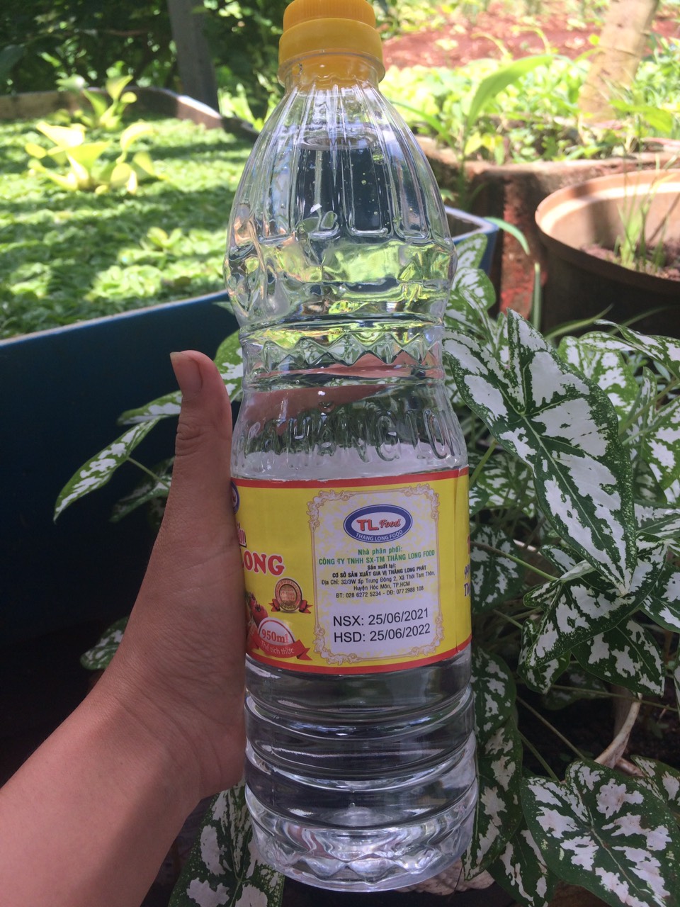 Giấm ăn Thăng Long chai 950ml. Date 06.2022