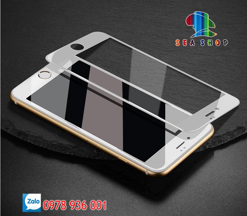 Tempered Glass for iPhone
