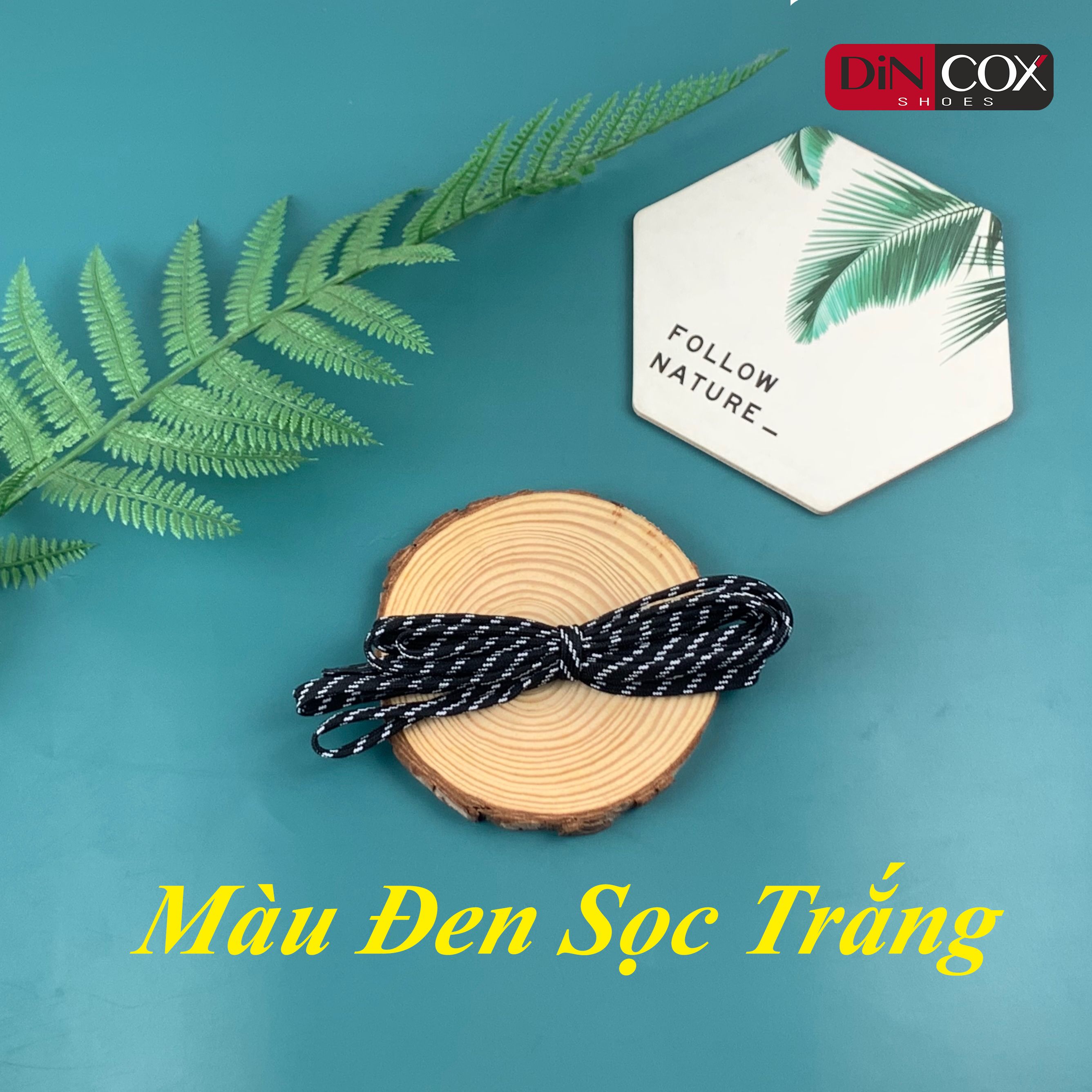 Dây Giày Sneaker Nam Nữ Chính Hãng DINCOX