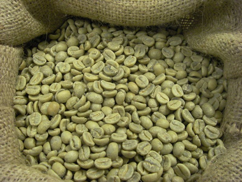 [Túi 1kg Cà Phê Nhân Xanh] Cà phê Nhân Sống Robusta Chưa Rang