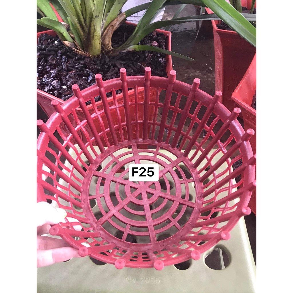10 Chậu nhựa trồng lan có nan phụ f25