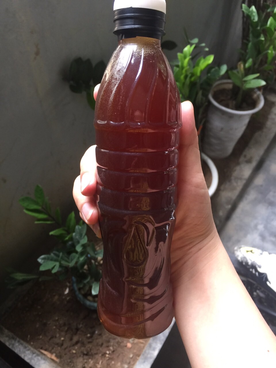 Mật mía nghệ an 1 lít