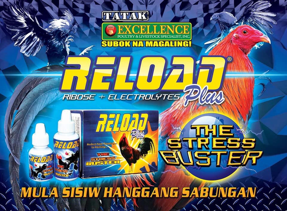 Reload Plus (15ml) điện giải, dành cho gà đá.