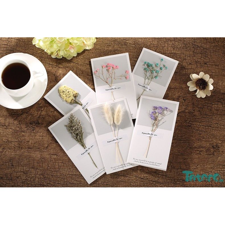 Thiệp basic Hoa Lá Khô - Thiệp vuông basic beautiful everyday