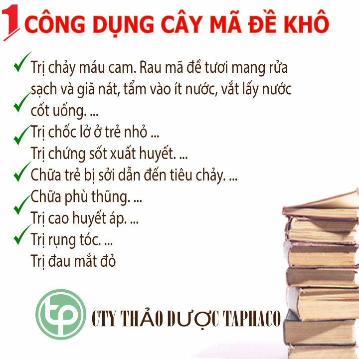 Mã đề sấy khô 1kg - Hàng loại 1 chất lượng cao - Thảo Dược Tấn Phát