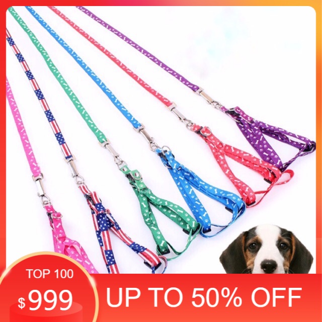 Dây xích cho thú cưng dưới 3kg-May Pet