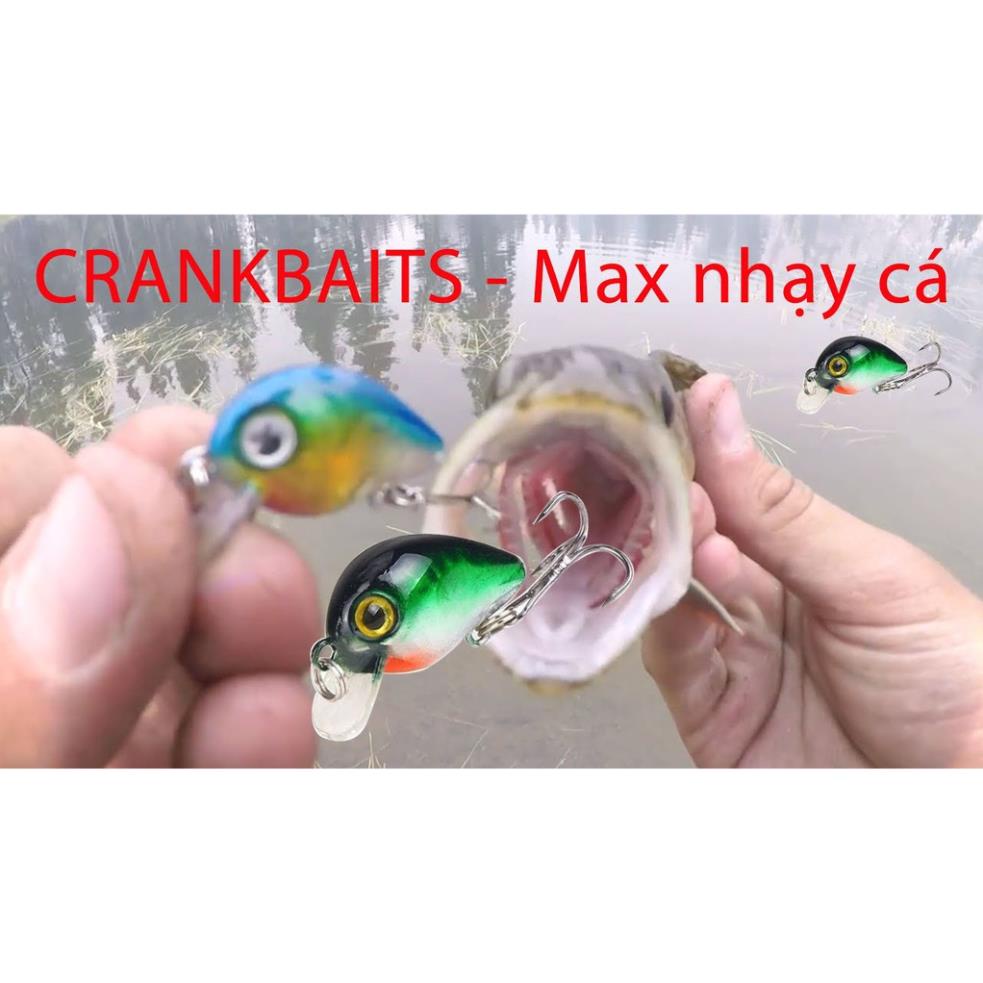 Mồi Câu Cá Mồi Ruồi Chuyên Câu Cá Rô Phi Giá Rẻ MG9