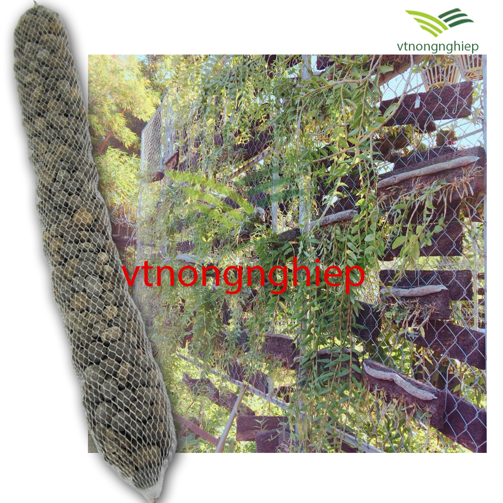 03 Túi phân dê đã qua xử lý Trichoderma dài 30cm