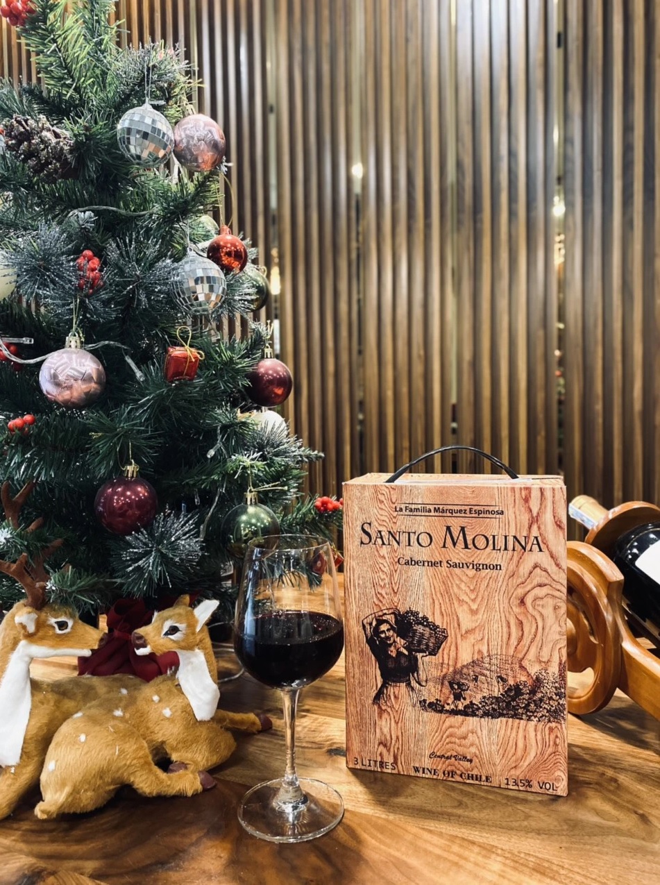 Rượu Vang Bịch Chile Santo Molina 3L