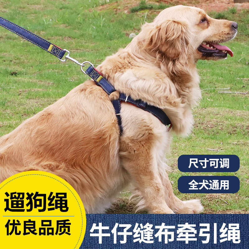DÂY DẮT CHÓ MÈO - DÂY DẮT KÈM YẾM JEAN 2.5CM