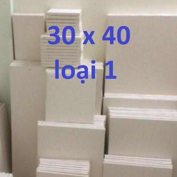 combo 10 toan vẽ tranh 30x40 cm căng sẵn