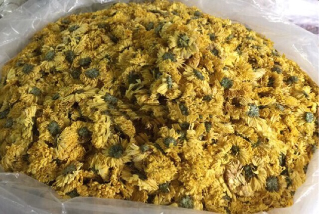 100gr hoa cúc vàng sấy khô nguyên chất