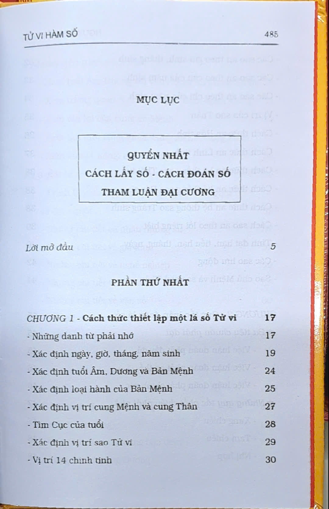 Tử Vi Hàm Số (Bìa Cứng)