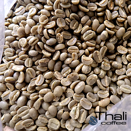 cà phê sạch moka Typica 1kg