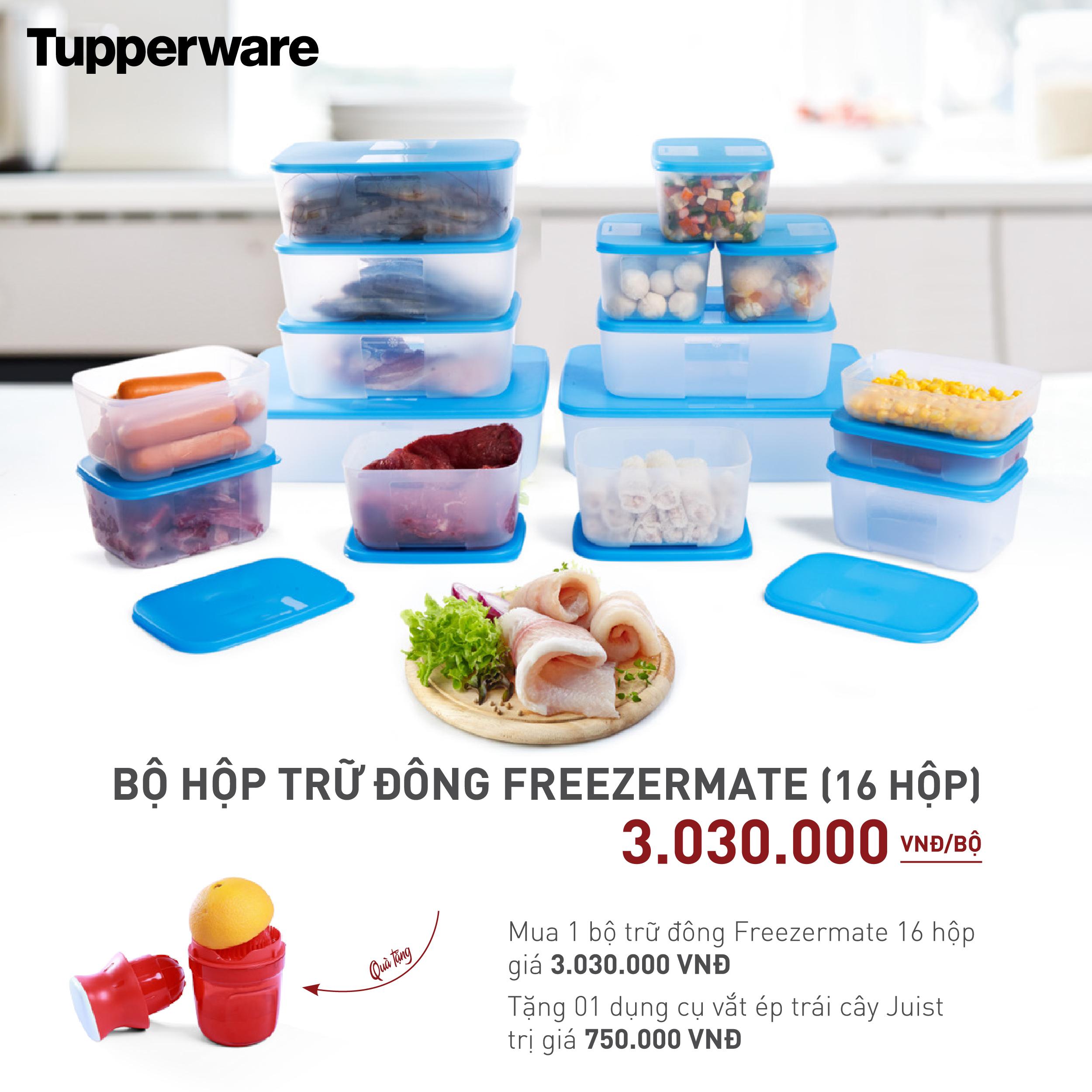 Bộ hộp trữ đông Set 16 - KÈM QUÀ TẶNG HẤP DẪN