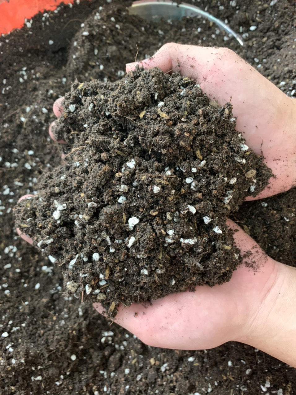 Đất Trồng sen đá xương rồng (túi 500gram)