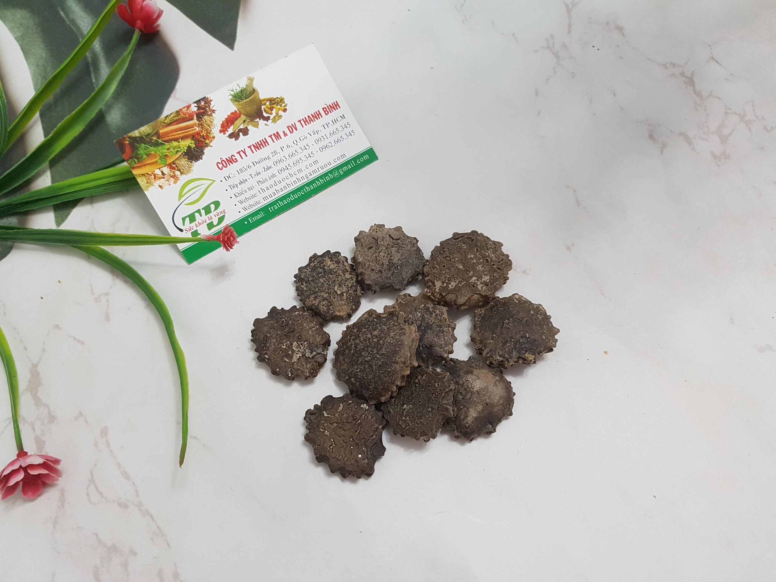 Hạt Gấc 100G - Hàng Công Ty Dược Liệu Thanh Bình
