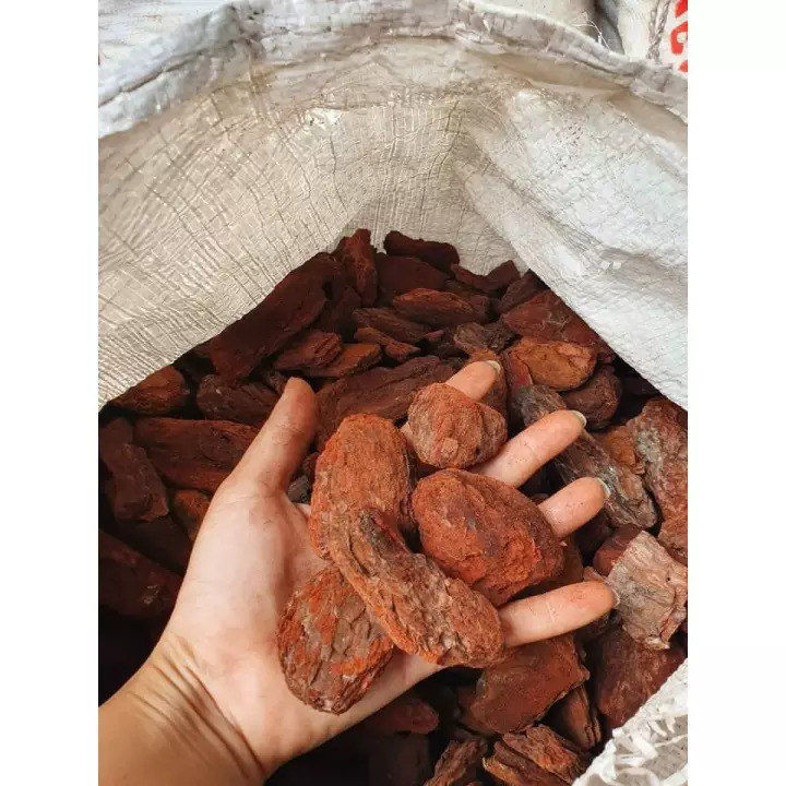 1KG Vỏ Thông Đỏ Trồng Lan - Đã Qua Xử Lý