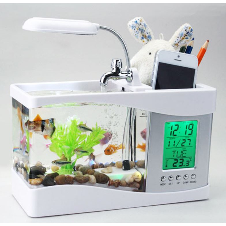 Bể Cá Mini Kiêm Đồng Hồ Để Bàn Và Hộp Đựng Đồ (có tặng kèm đá và cây cảnh)