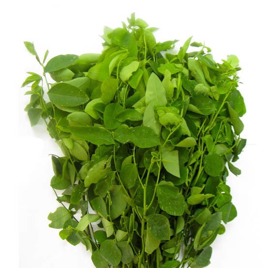 Hạt rau bồ ngót - gói 1 gram