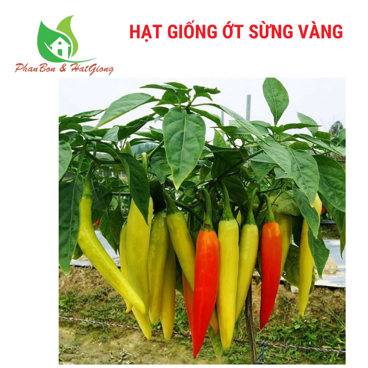 Hạt Giống Ớt Sừng Vàng Phú Nông 0,1g