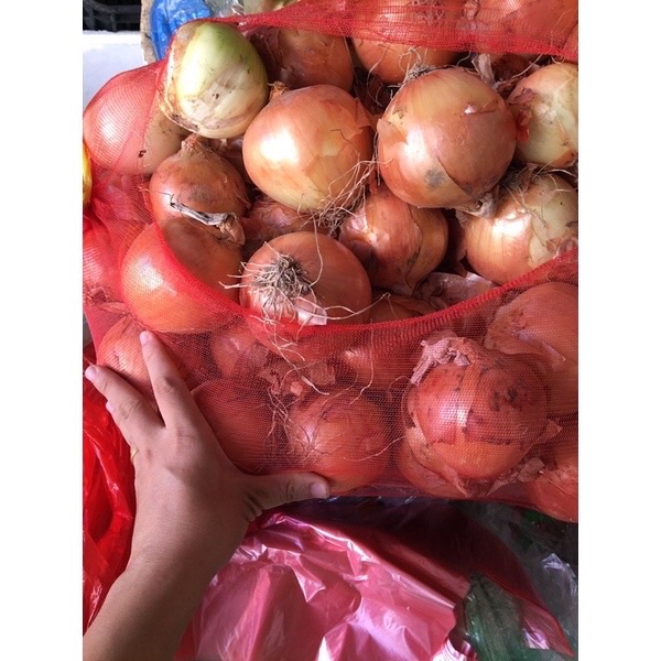 Củ Hành Tây tươi ngon túi 500g