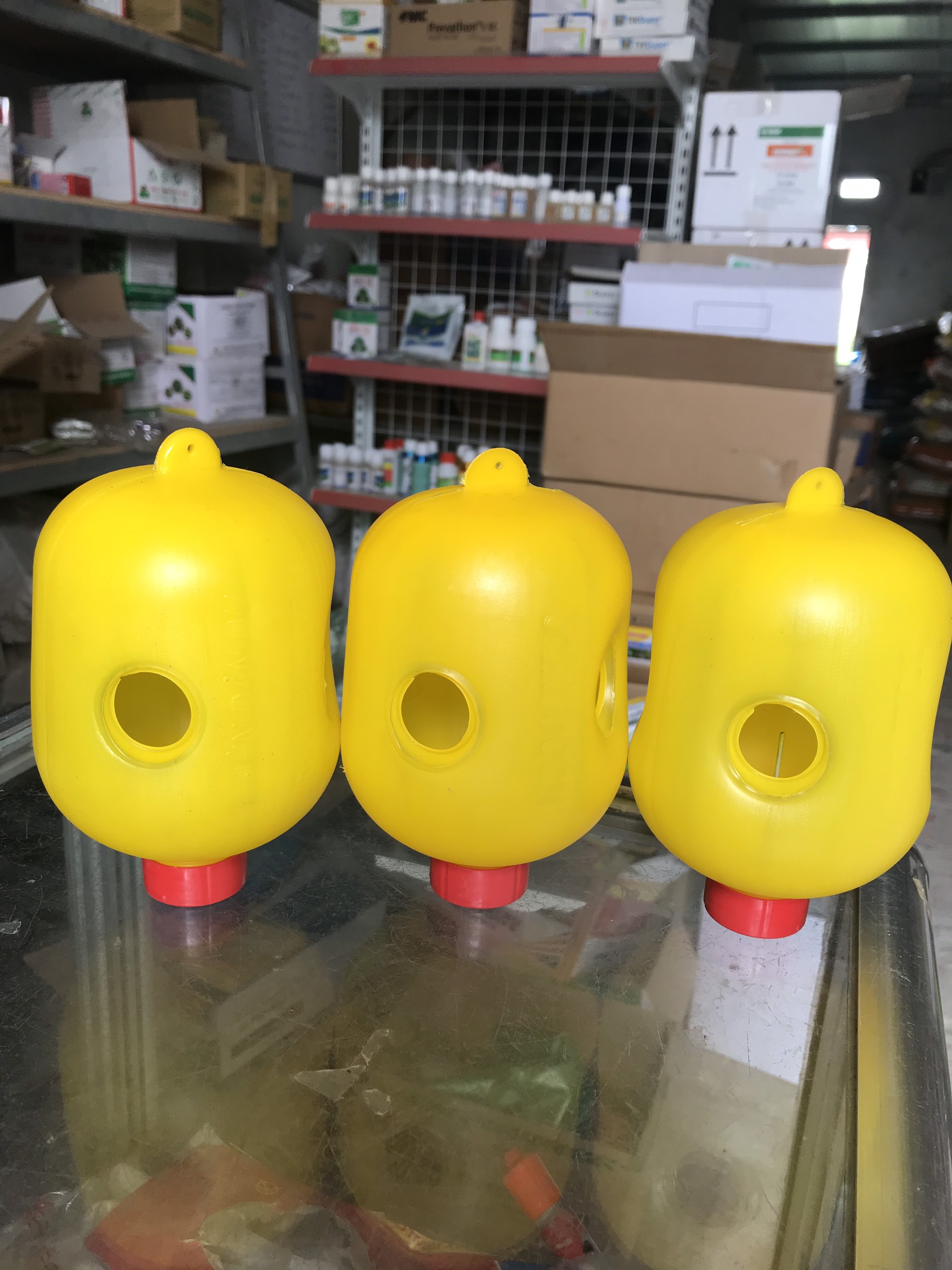 Bộ 3 chiếc - Lồng bẫy ruồi vàng đục trái