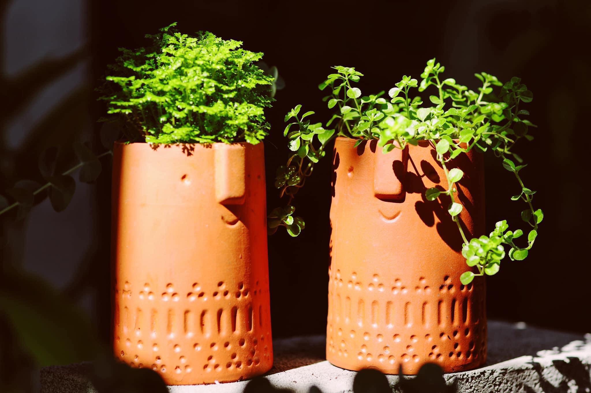 Chậu gốm đất nung kiểu TRỤ MẶT CƯỜI (1 cái 10x15cm) - chậu trồng cây, gốm sứ sân vườn Bình Dương