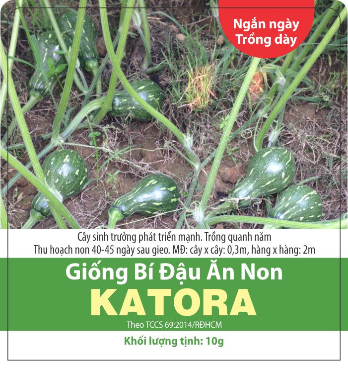 10 hạt giống bí đậu ăn non