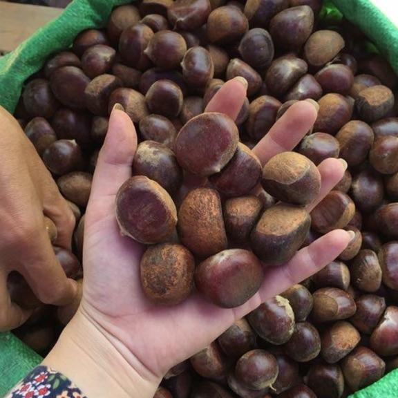 1kg hạt dẻ