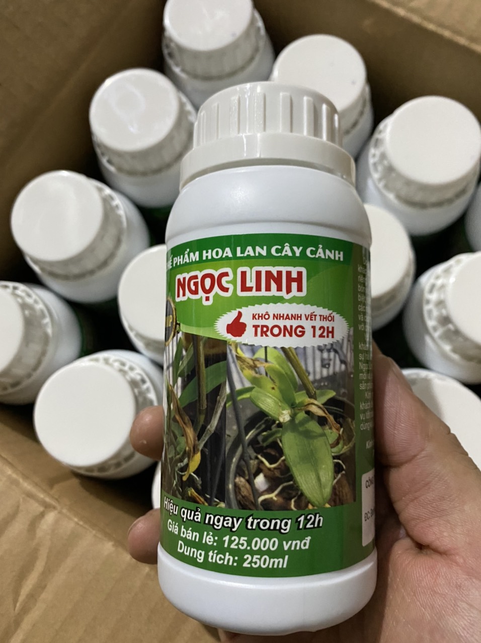 Đặc trị thối nhũn Ngọc Linh 12h chuyên dùng cho hoa Phong Lan