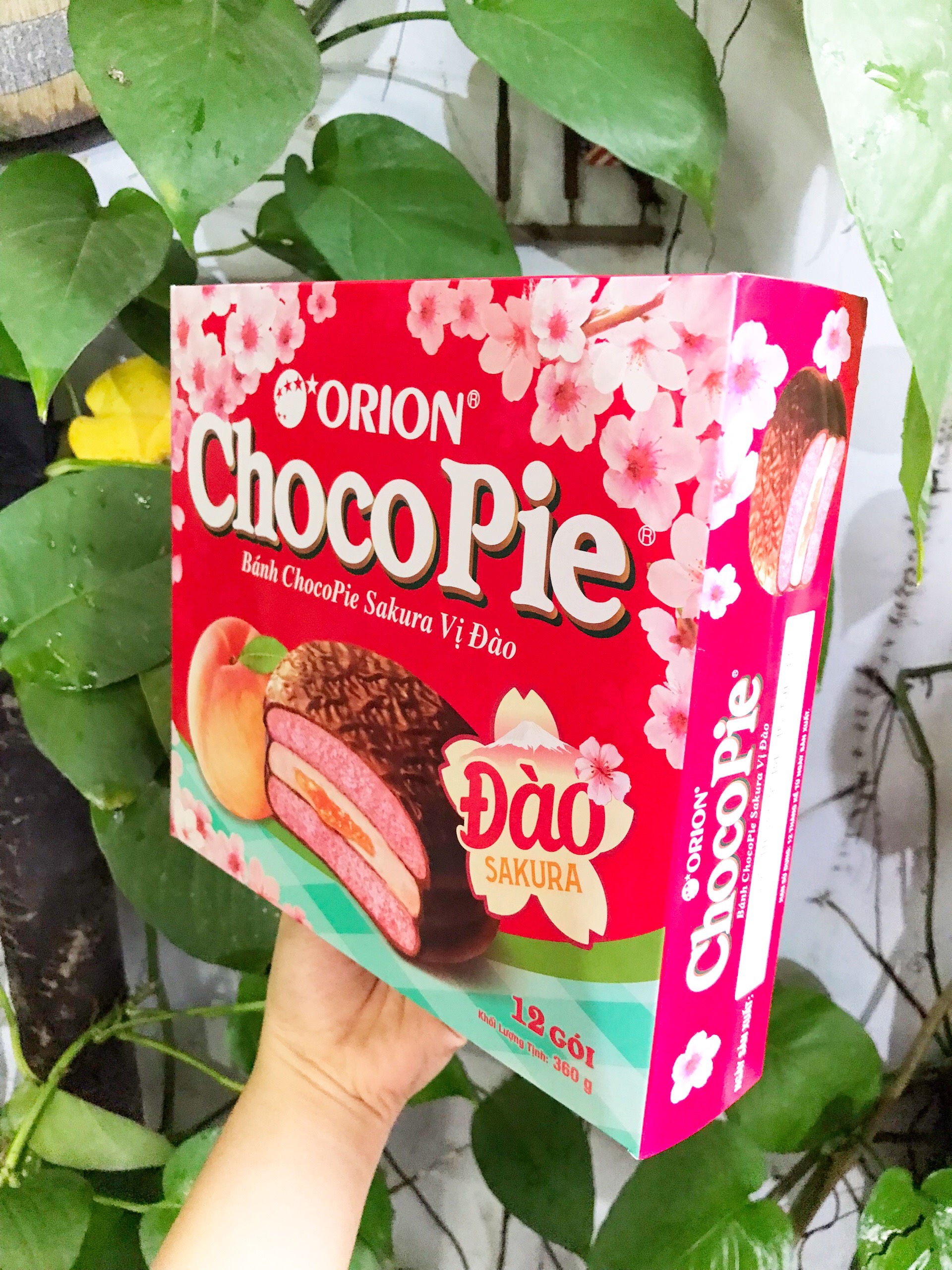 Bánh Choco Pie Sakura Vị Đào Orion (Hộp 12 cái)